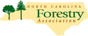 NCFA